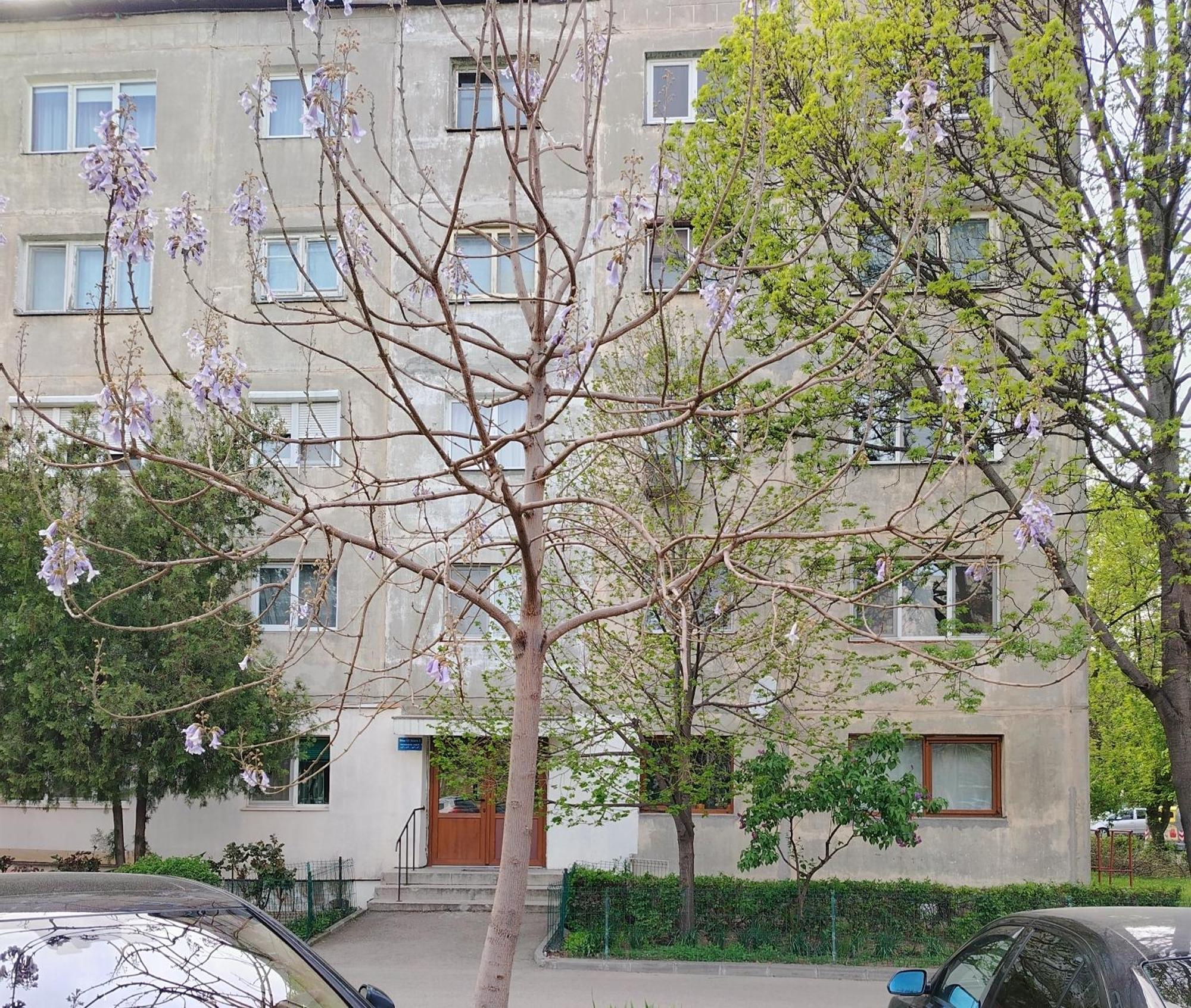 Arka Apartment Krajowa Zewnętrze zdjęcie